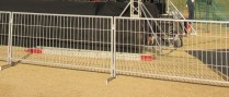 Fencing type-2